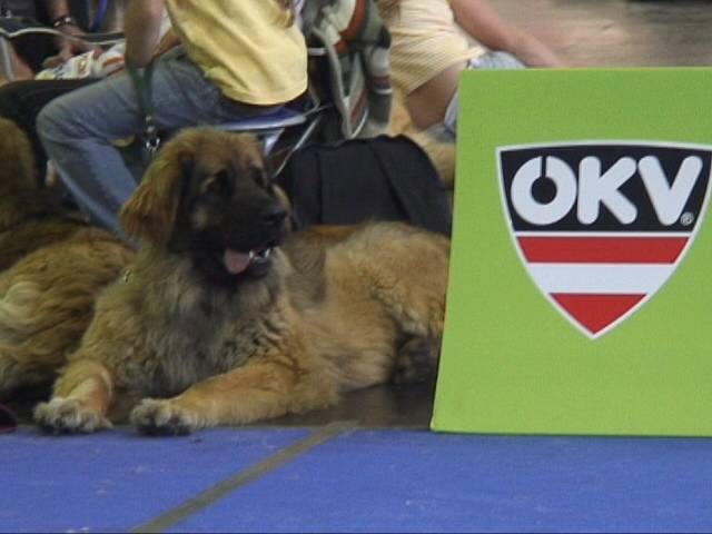 Salzburg Clubschau Mai 06 058 